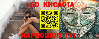 гашик Кандалакша