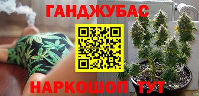 гашик Кандалакша
