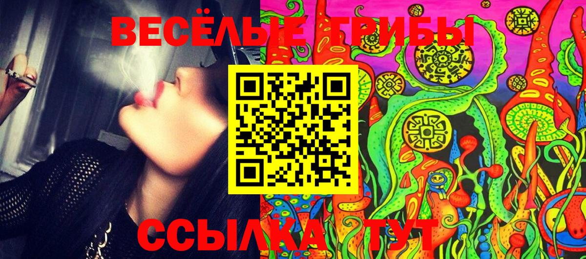Галлюциногенные грибы Cubensis  Галлюциногенные грибы прущие грибы  Вход с VPN  Янаул 